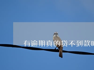 有逾期真的贷不到款吗 有逾期真的贷不到款吗