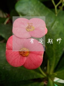 有逾期秒下网贷口子 有逾期秒下网贷口子