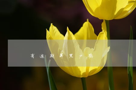 有逾期算黑户嘛 有逾期算黑户嘛