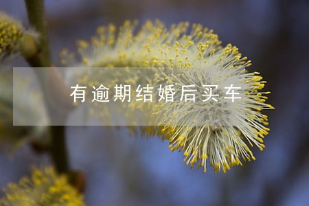 有逾期结婚后买车 有逾期结婚后买车