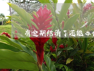 有逾期结清了还能办信用卡吗中国 有逾期结清了还能办信用卡吗中国