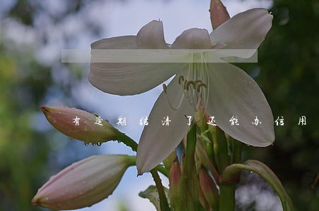 有逾期结清了还能办信用卡吗民生 有逾期结清了还能办信用卡吗民生