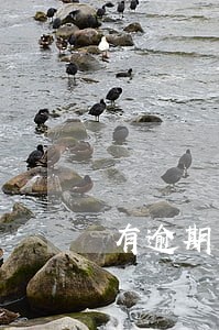 有逾期网贷可以吗 有逾期网贷可以吗
