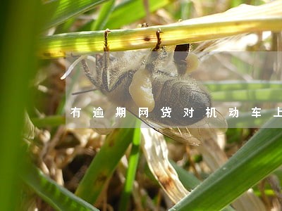 有逾期网贷对机动车上牌有影响吗 有逾期网贷对机动车上牌有影响吗