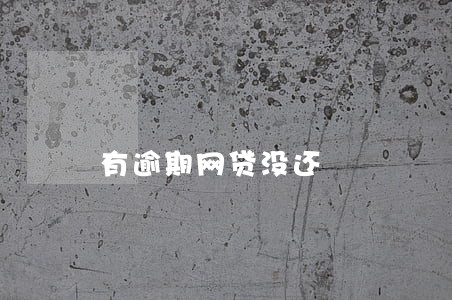 有逾期网贷没还