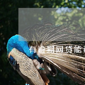 有逾期网贷能再借款吗 有逾期网贷能再借款吗