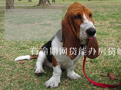 有逾期网贷能办房贷吗 有逾期网贷能办房贷吗