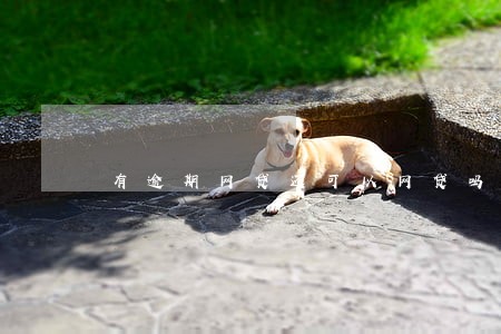 有逾期网贷还可以网贷吗 有逾期网贷还可以网贷吗