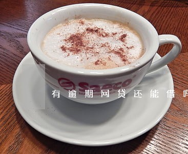 有逾期网贷还能借吗 有逾期网贷还能借吗