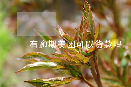 有逾期美团可以货款吗 有逾期美团可以货款吗