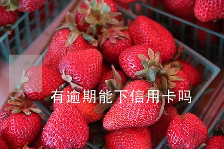 有逾期能下信用卡吗 有逾期能下信用卡吗