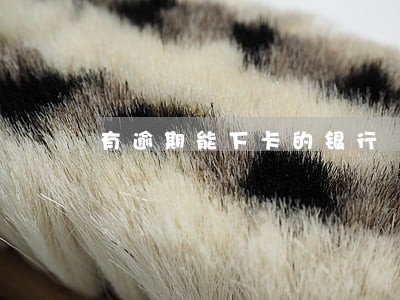 有逾期能下卡的银行 有逾期能下卡的银行
