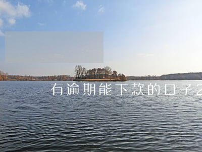 有逾期能下款的口子2022
