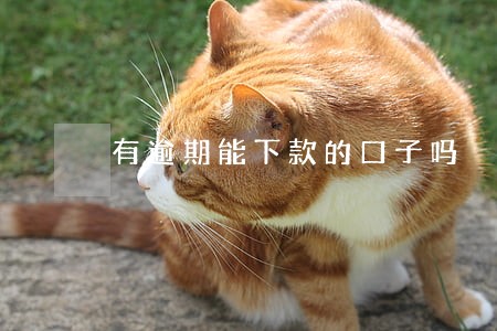 有逾期能下款的口子吗 有逾期能下款的口子吗