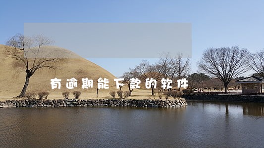 有逾期能下款的软件 有逾期能下款的软件