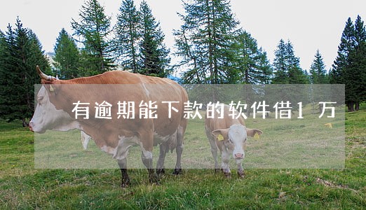 有逾期能下款的软件借1万 有逾期能下款的软件借1万