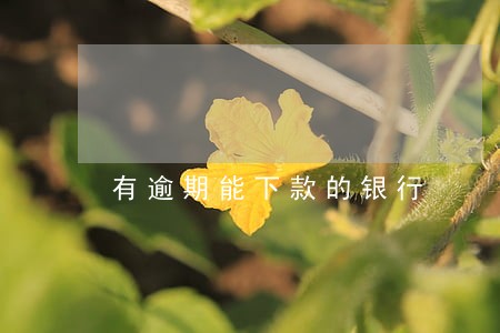 有逾期能下款的银行 有逾期能下款的银行