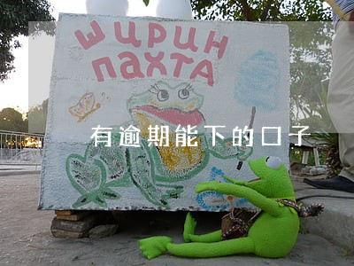 有逾期能下的口子 有逾期能下的口子