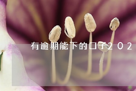有逾期能下的口子2020 有逾期能下的口子2020