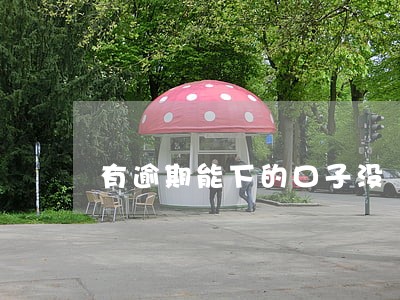 有逾期能下的口子没
