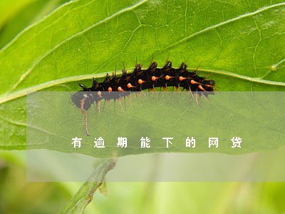 有逾期能下的网贷