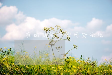 有逾期能下的网贷论坛 有逾期能下的网贷论坛