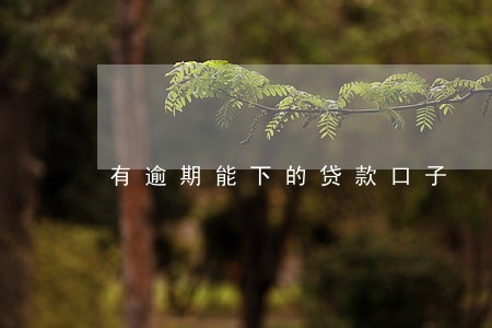 有逾期能下的贷款口子 有逾期能下的贷款口子