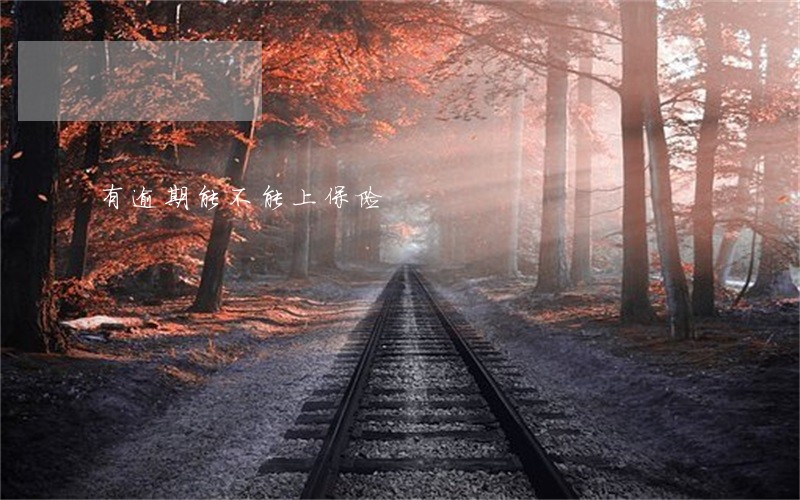 有逾期能不能上保险