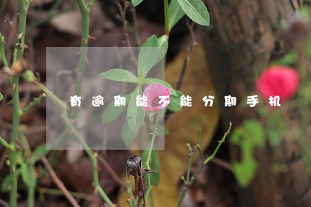 有逾期能不能分期手机 有逾期能不能分期手机