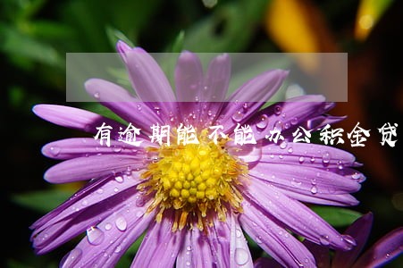 有逾期能不能办公积金贷款买房
