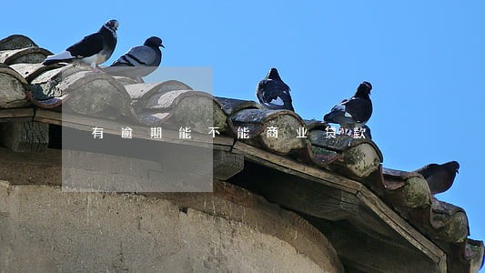 有逾期能不能商业贷款 有逾期能不能商业贷款