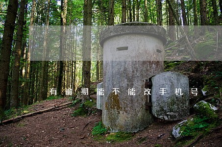 有逾期能不能改手机号 有逾期能不能改手机号