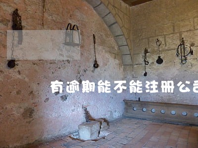 有逾期能不能注册公司 有逾期能不能注册公司