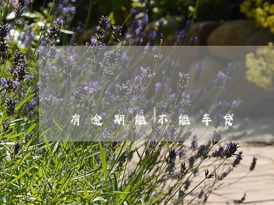 有逾期能不能车贷 有逾期能不能车贷