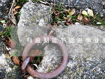 有逾期能不能进事业单位 有逾期能不能进事业单位