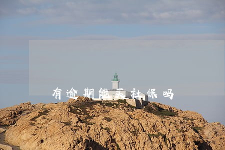 有逾期能买社保吗 有逾期能买社保吗
