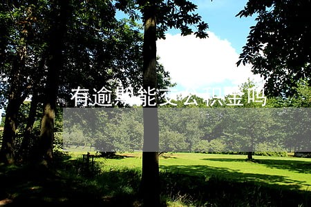 有逾期能交公积金吗