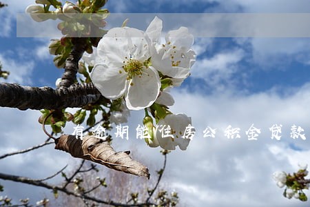 有逾期能住房公积金贷款 有逾期能住房公积金贷款