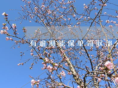 有逾期能保单领取部分金额吗