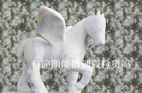 有逾期能借到微粒贷吗 有逾期能借到微粒贷吗
