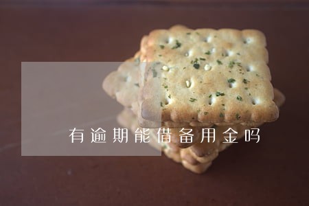 有逾期能借备用金吗 有逾期能借备用金吗