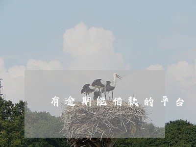 有逾期能借款的平台