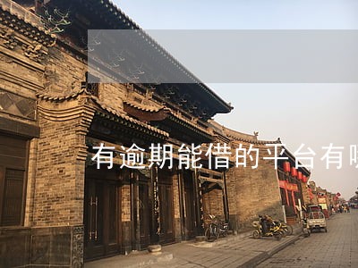 有逾期能借的平台有哪些
