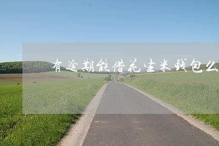有逾期能借花生米钱包么 有逾期能借花生米钱包么
