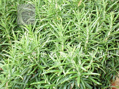 有逾期能做信用贷款吗 有逾期能做信用贷款吗