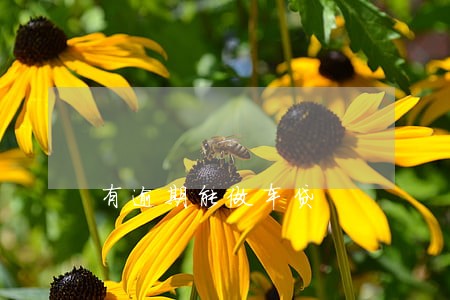有逾期能做车贷