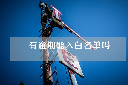 有逾期能入白名单吗