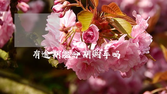 有逾期能分期购车吗 有逾期能分期购车吗
