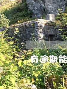 有逾期能办etc信用卡吗 有逾期能办etc信用卡吗