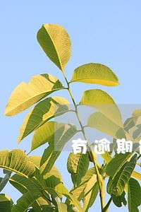有逾期能办交通银行信用卡